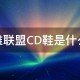 300英雄减cd鞋是什么鞋