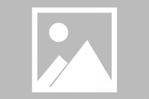 手游qq飞车怎样玩，qq飞车手游宏辅助软件