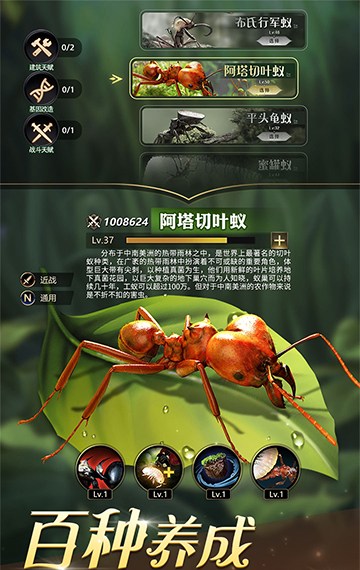 小小蚁国截图1